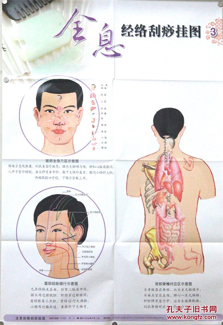 全息经络刮痧挂图 创意与编制:张秀勤,鲁汉 国际文化出版公司