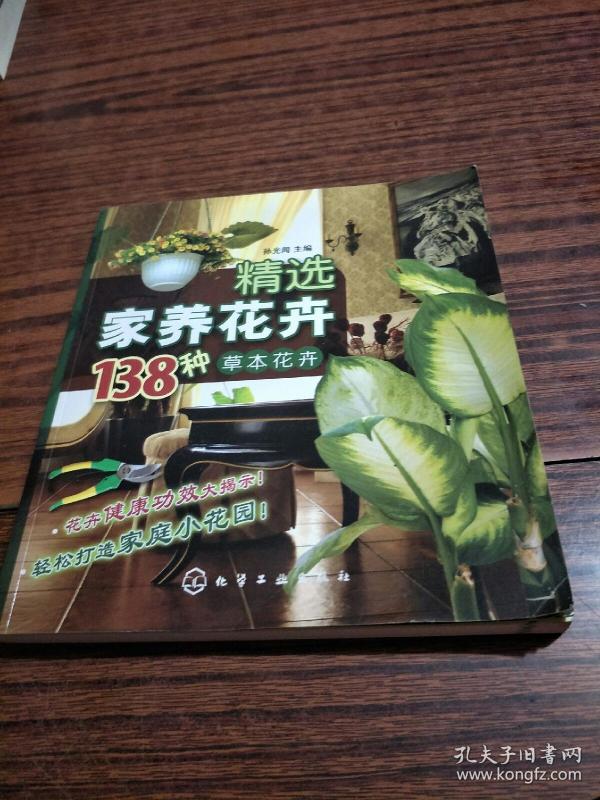 精选家养花卉138种:草本花卉