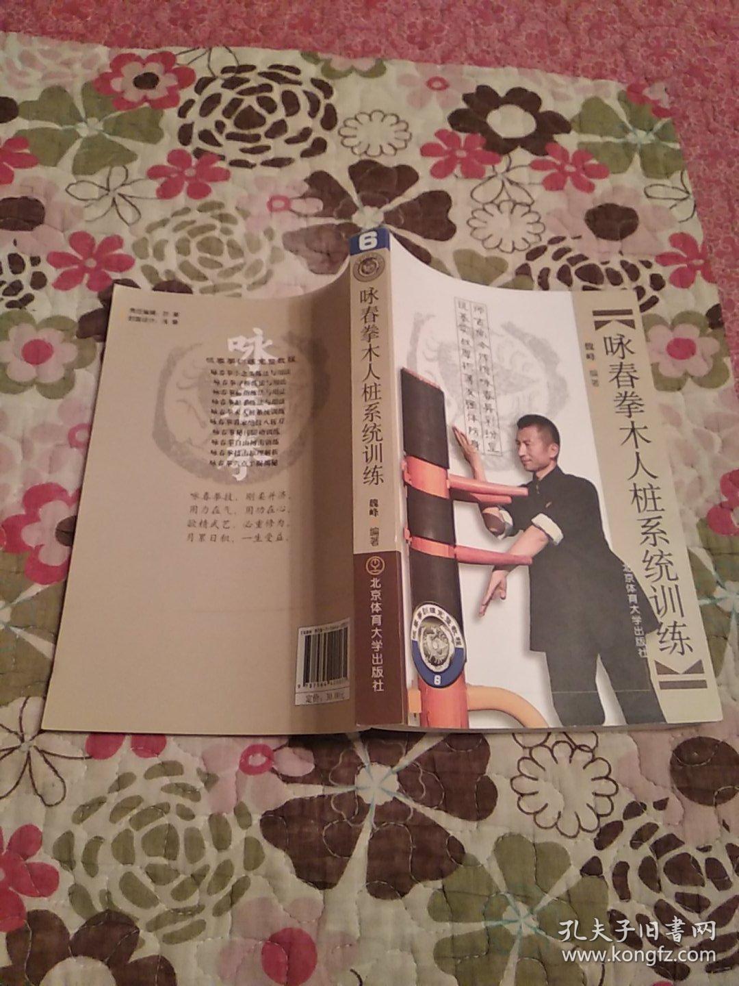 咏春拳训练完整教程:咏春拳木人桩系统训练