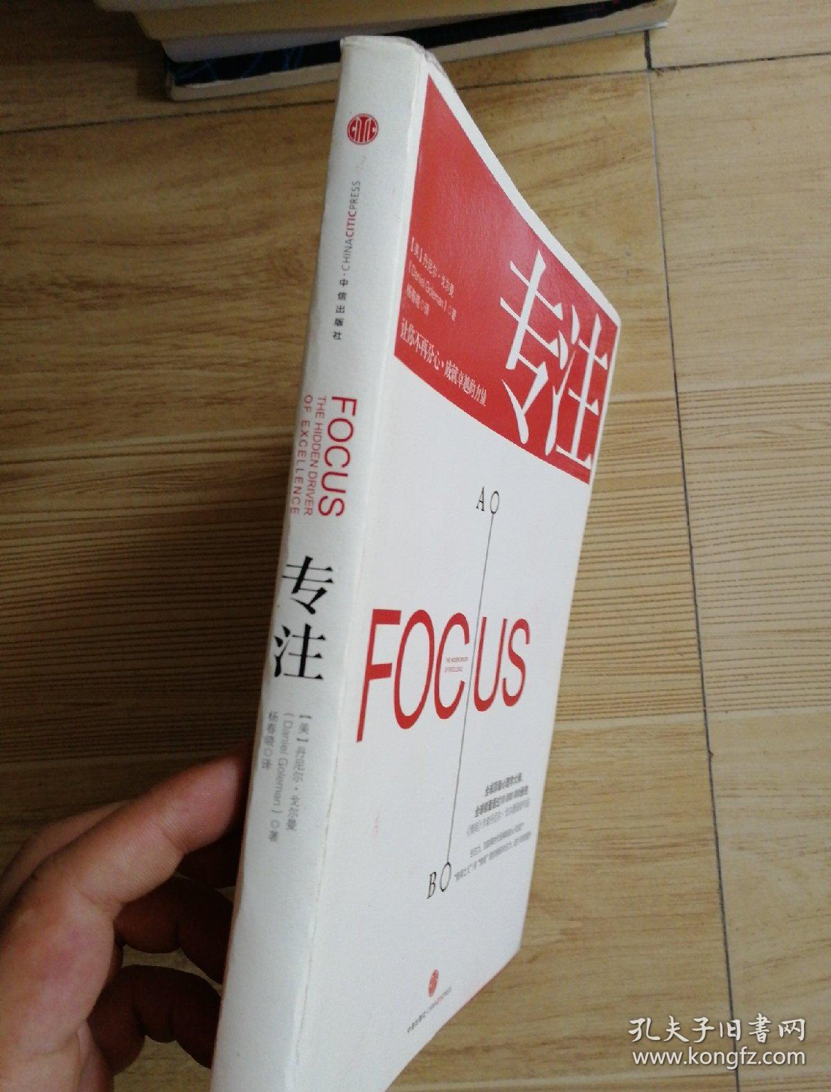 专注:focus: the hidden driver of excellence