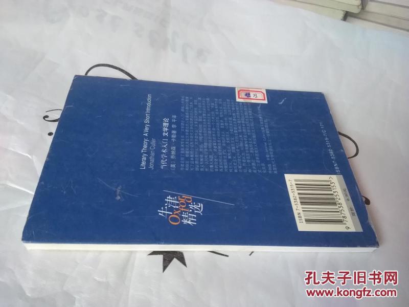 当代学术入门:文学理论