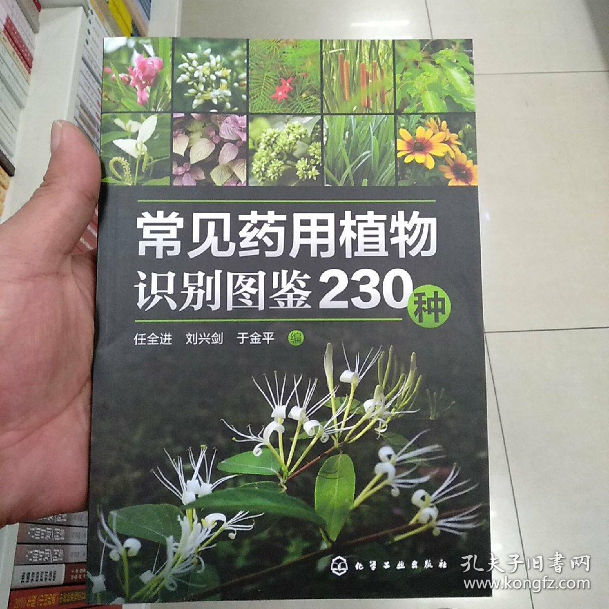 常见药用植物识别图鉴230种