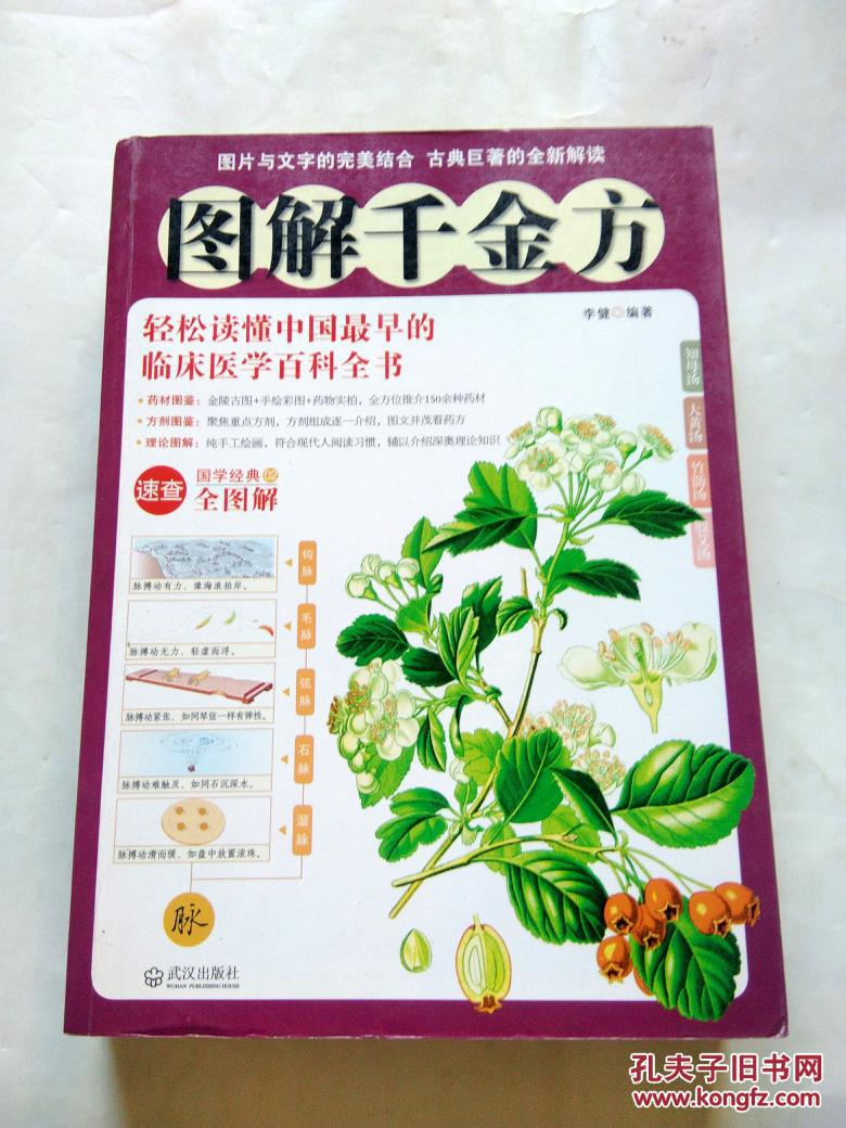 图解千金方 : 轻松读懂中国最早的临床医学百科