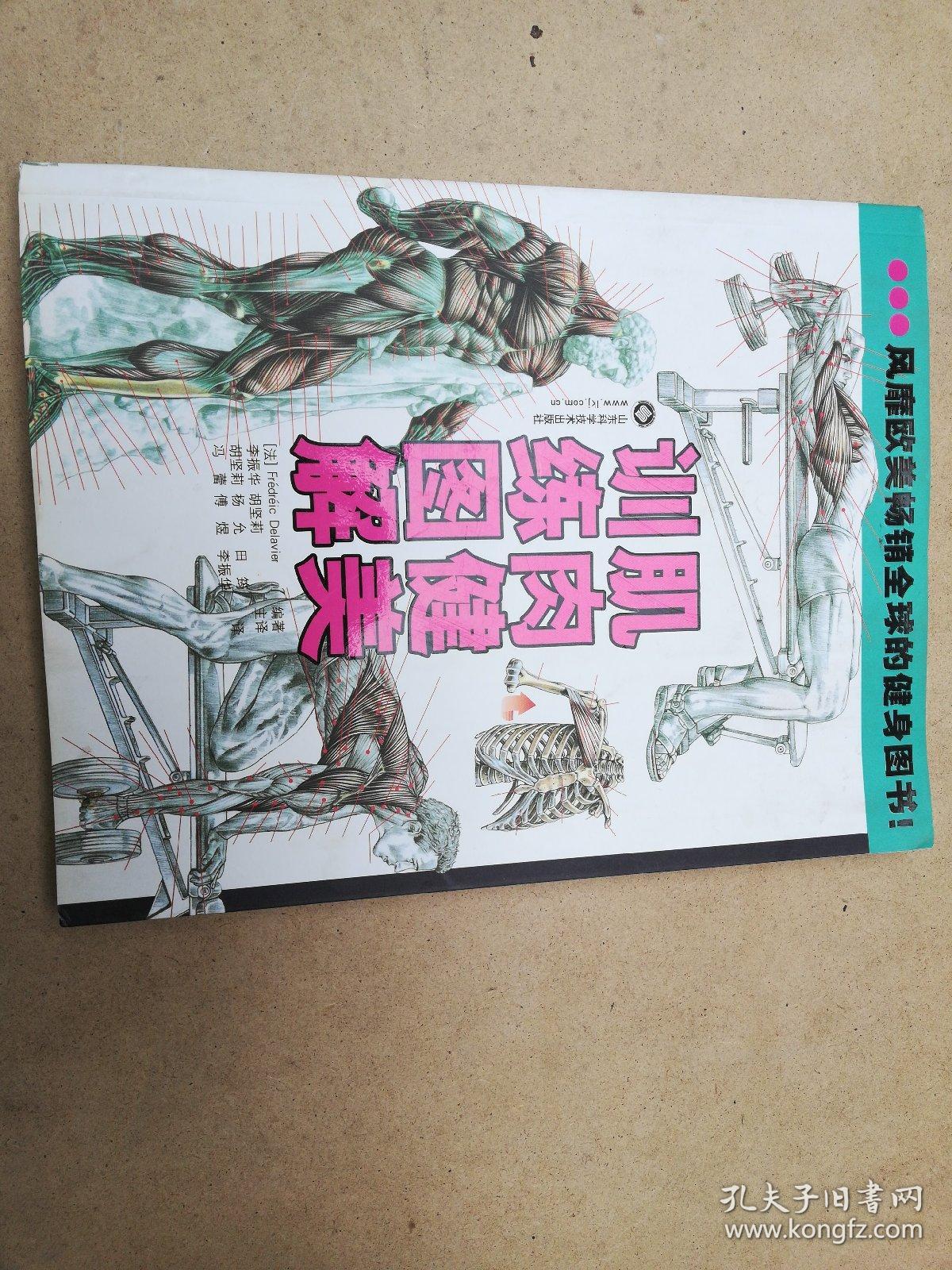 肌肉健美训练图解