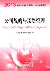 公司战略与风险管理