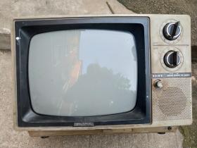索尼 TV-124CH老电视,能播放,有声音和画面