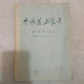 中国花卉盆景合订本（上）创刊号1985.1至6