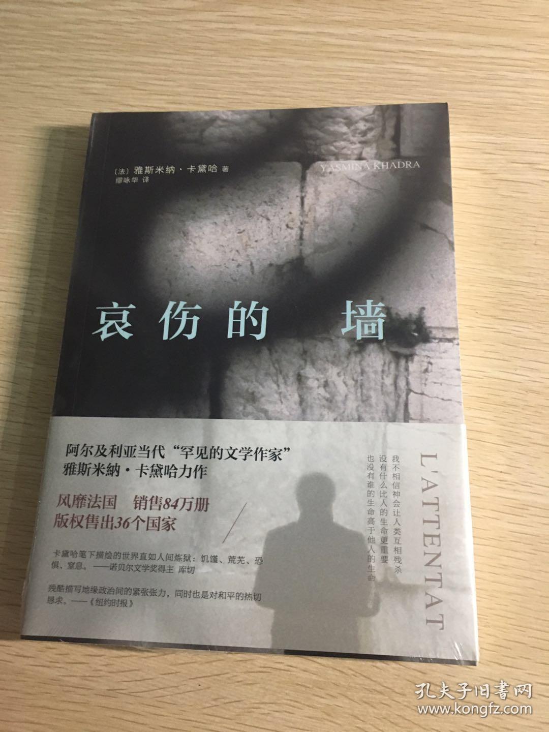【正版】哀伤的墙 (法)雅斯米纳卡黛哈著