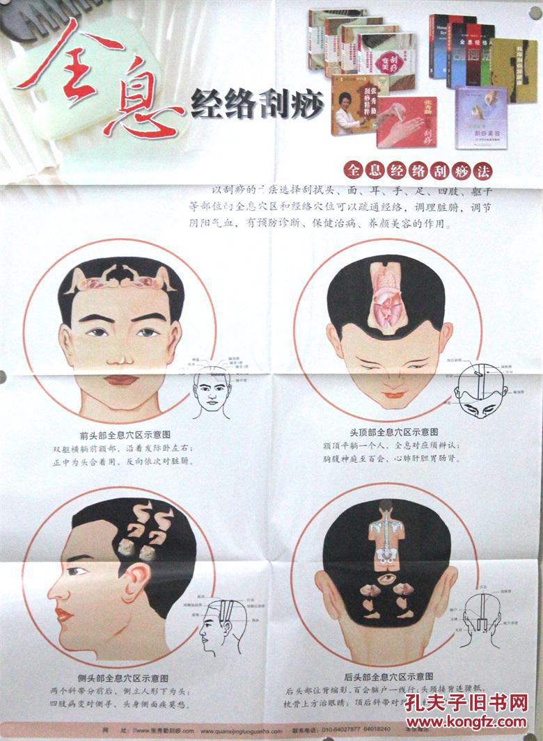 全息经络刮痧挂图 创意与编制:张秀勤,鲁汉 国际文化出版公司