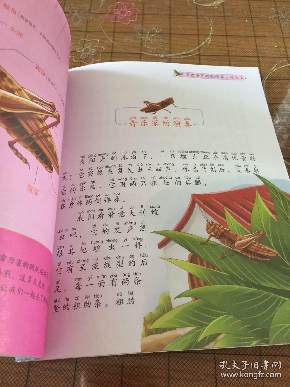《法布尔昆虫记》疯狂的捕食者 螳螂高明的麻醉师泥蜂昆虫记蟋蟀的