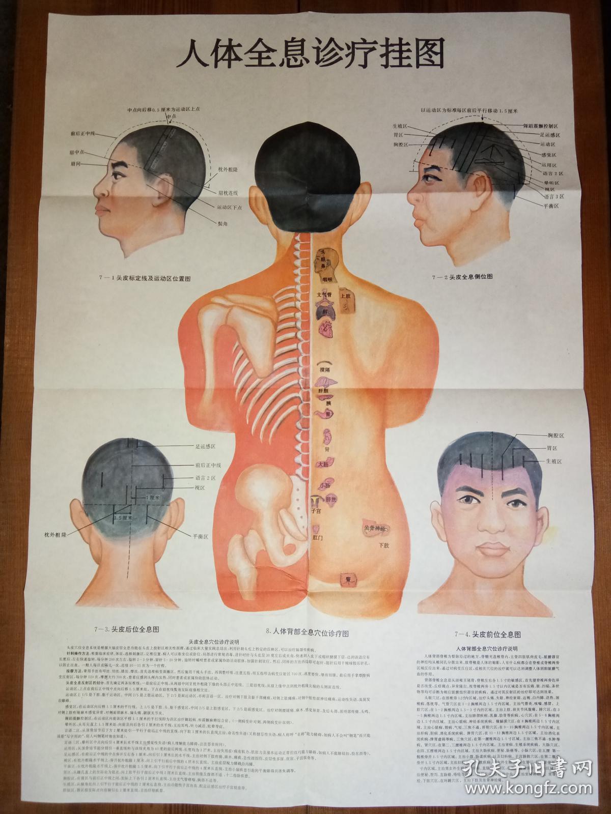 人体全息诊疗挂图(全六张图)