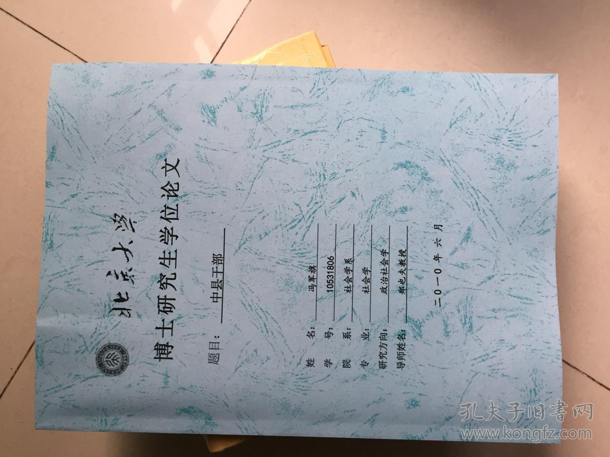 京大学博士研究生学位论文中县干部(冯军旗)