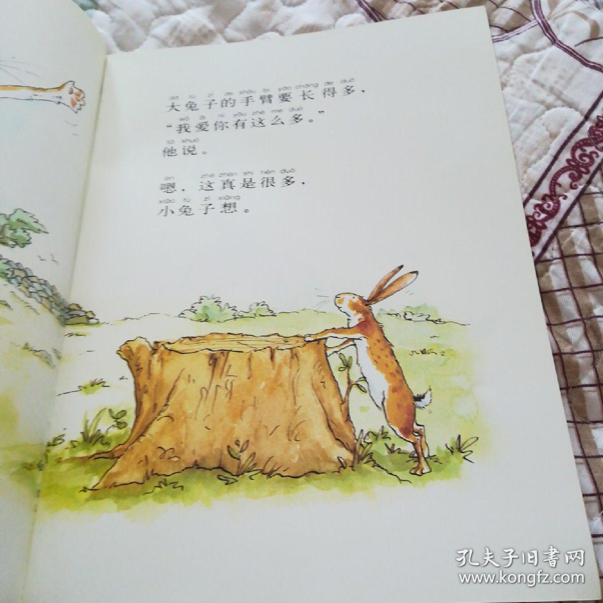 猜猜我有多爱你