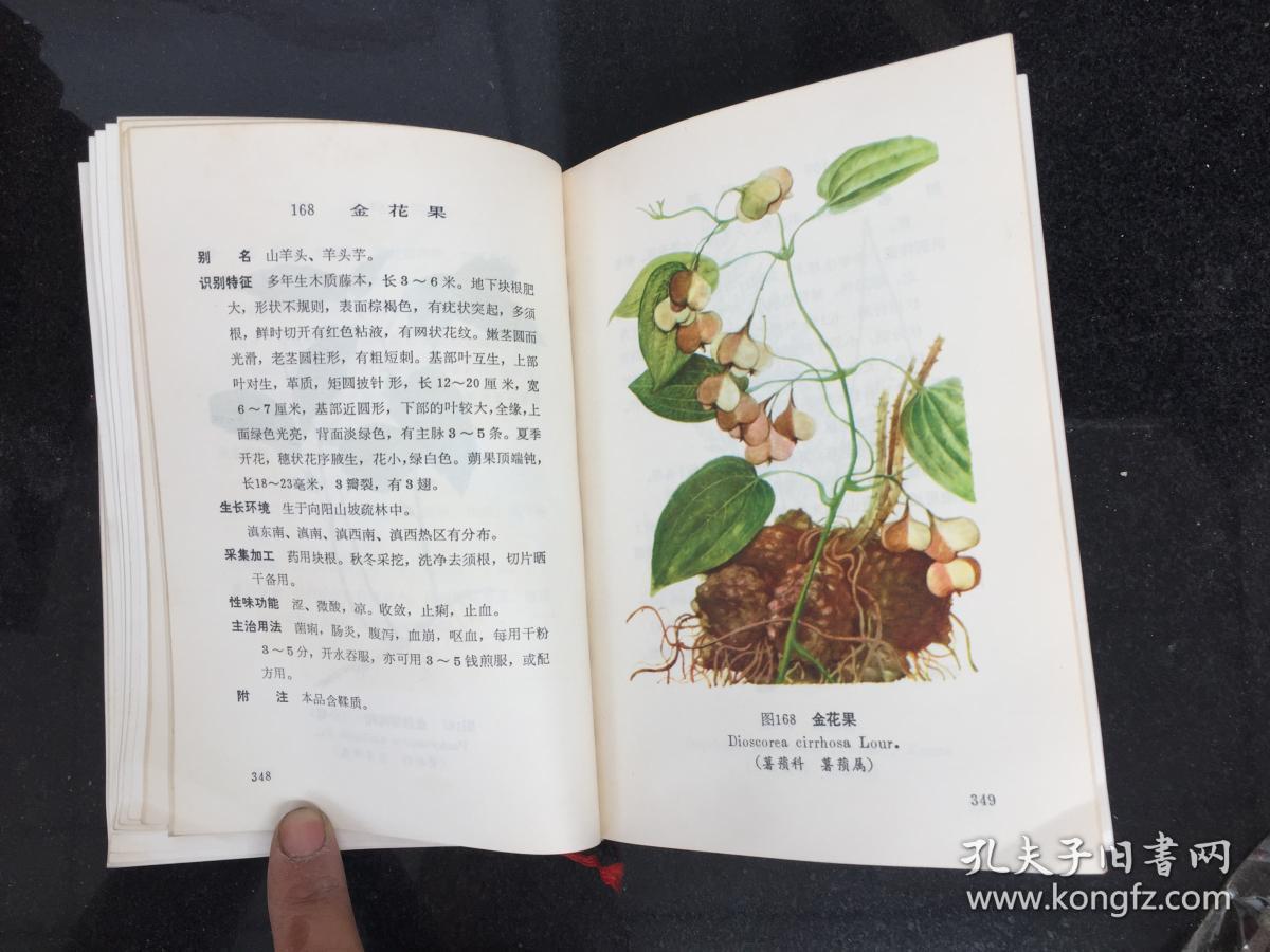 云南中草药选