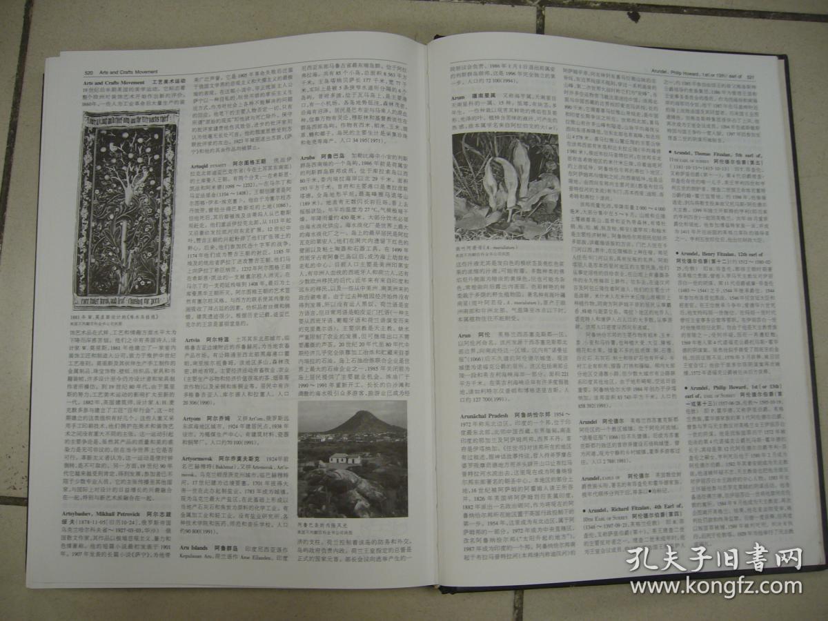 不列颠百科全书:国际中文版:(1)_中国大百科全书出版.