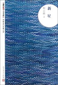 朝内166人文文库·中国当代长篇小说：新星