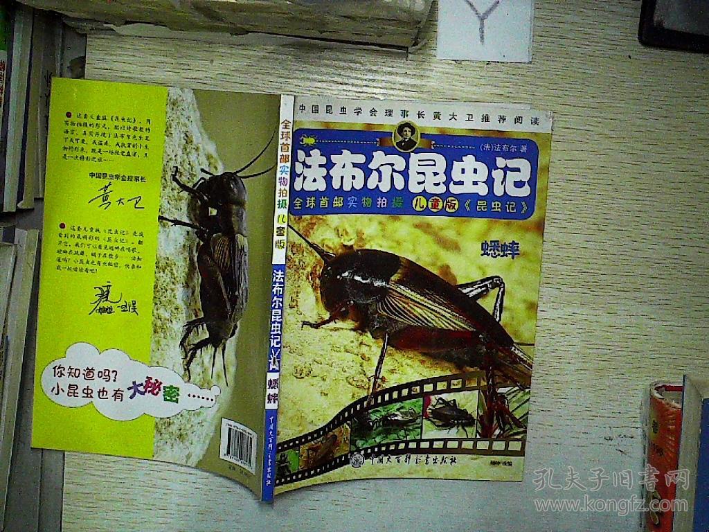 蟋蟀(儿童版)/法布尔昆虫记