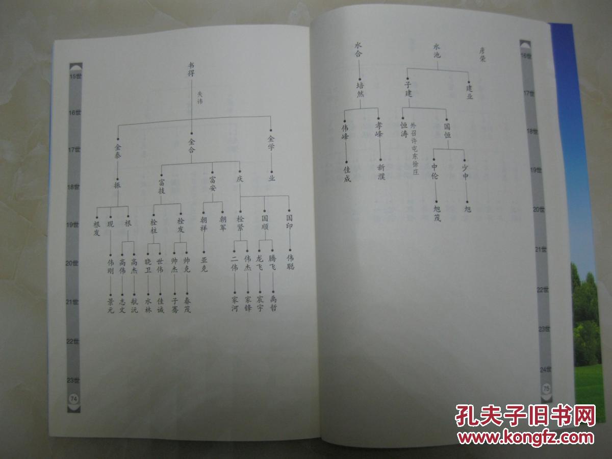 苗氏族谱禹西苗府河南省禹州市花石镇白沙一带苗姓始祖苗贲皇迁始祖苗
