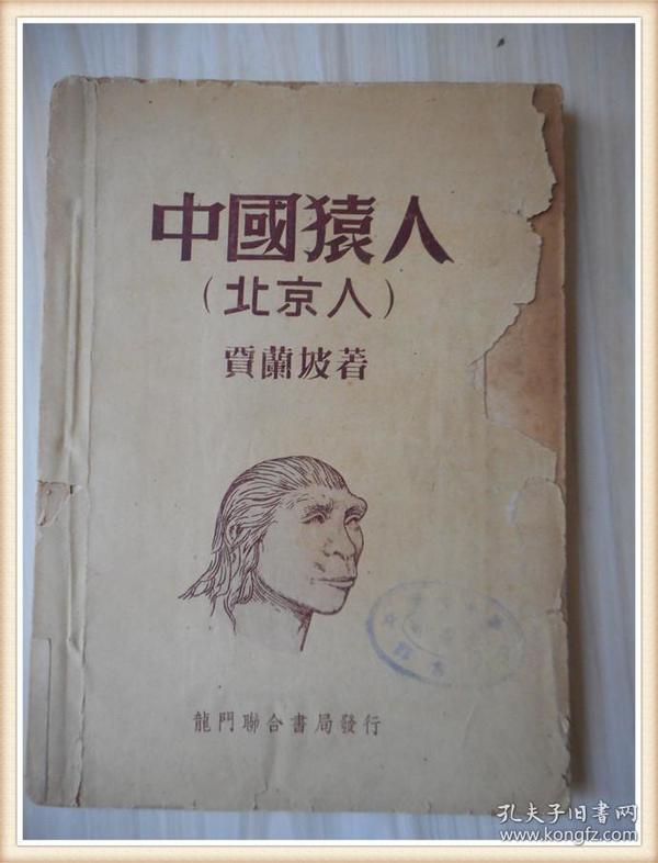 中国猿人:北京人