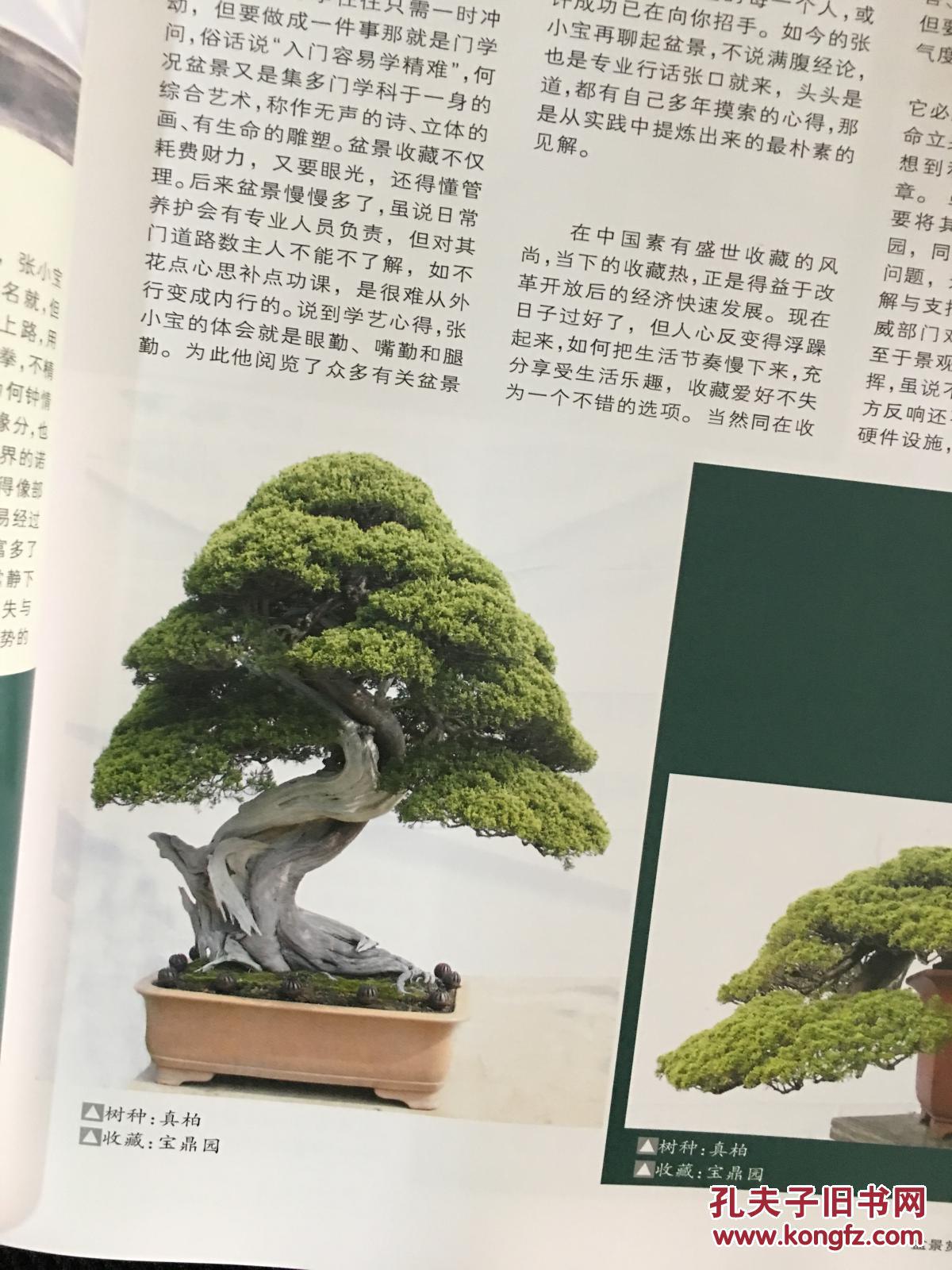 花木盆景 2010年11月刊_花木盆景杂志编辑部_孔夫子