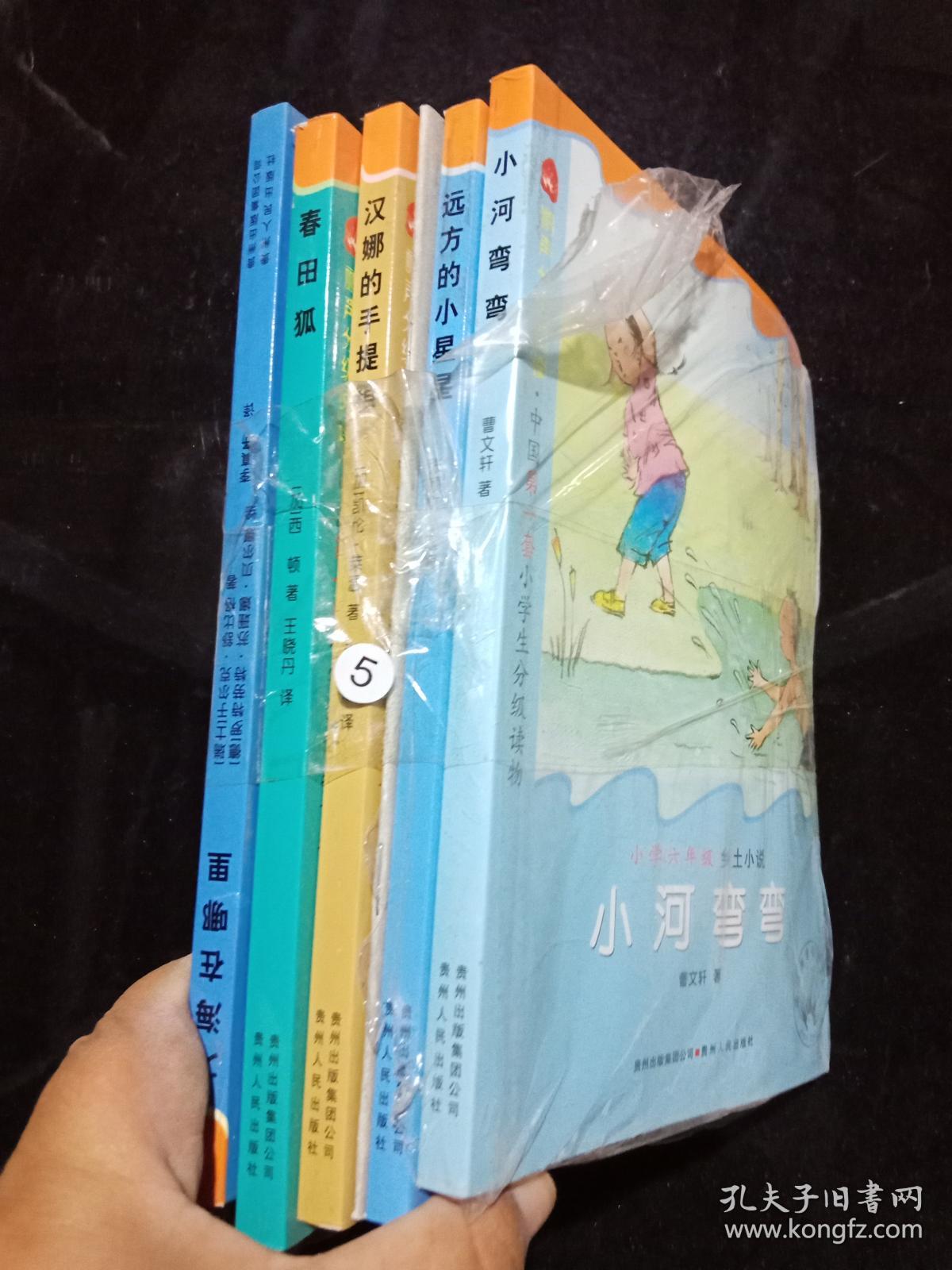小河弯弯 远方的星星 汉娜的手提箱 春田狐 大海