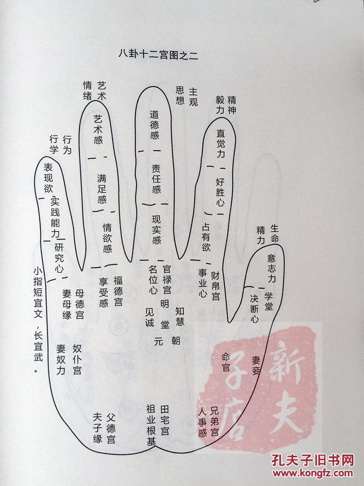 麻衣相面术图解