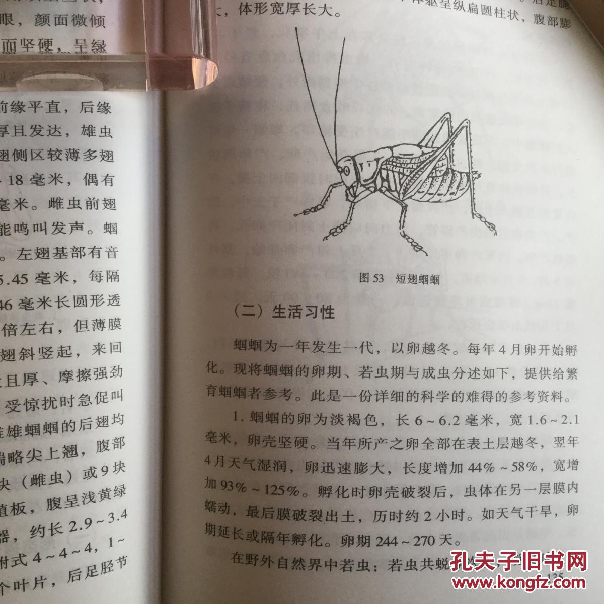 硬精装(私藏近十品 2001年一版一印)_吴继传_孔夫子旧书网