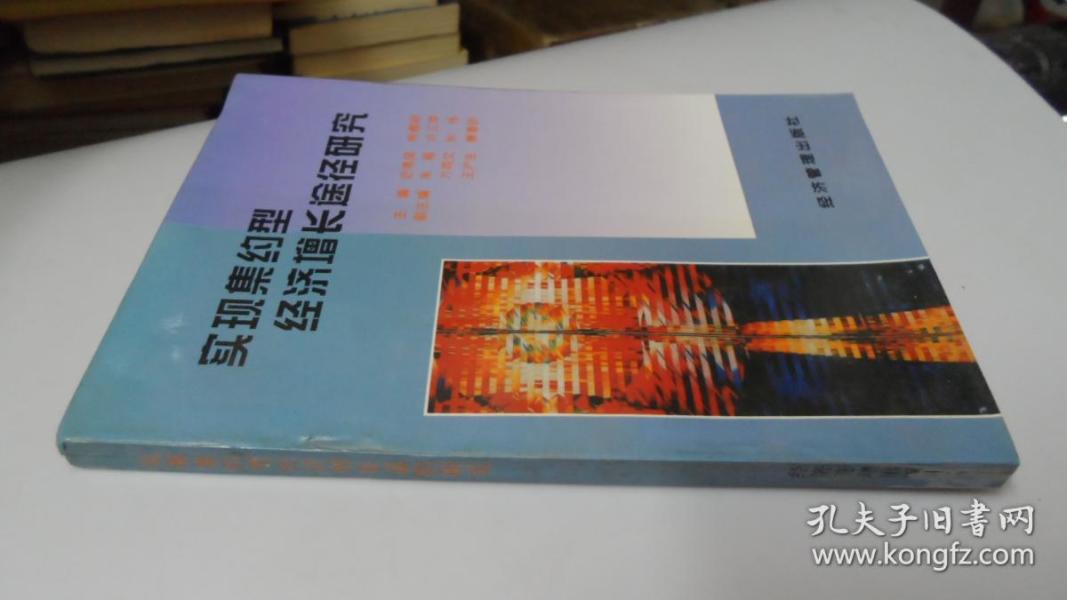 实现集约型经济增长途径研究