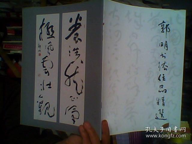 郭明书法作品精选