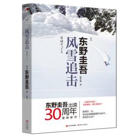 风雪追击