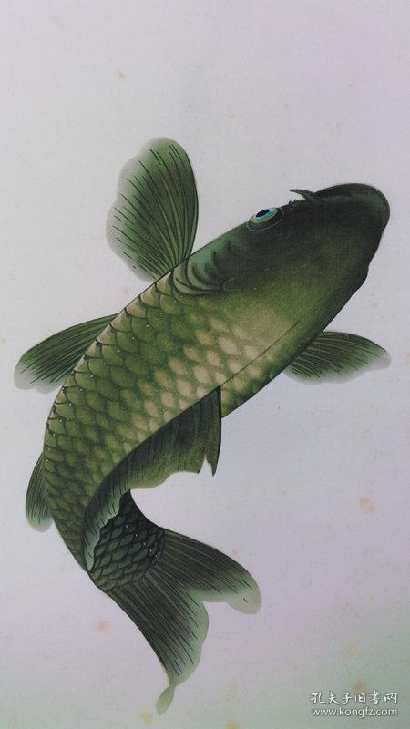 日本回流字画近代绢本绫裱鲤鱼跳水有余图品好立轴书房装饰画721