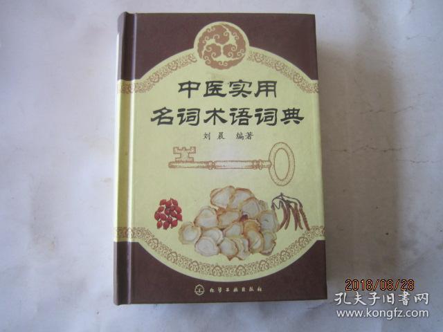 中医实用名词术语词典 精装