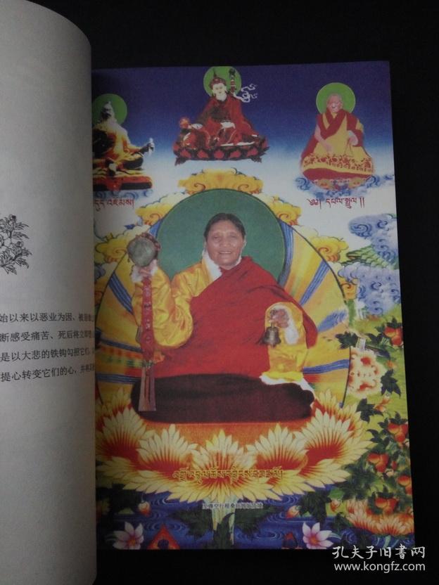 正版 无限在空中 大空行母根桑旺姆应化录 邬金晋美卓玛 著(彩版) 一