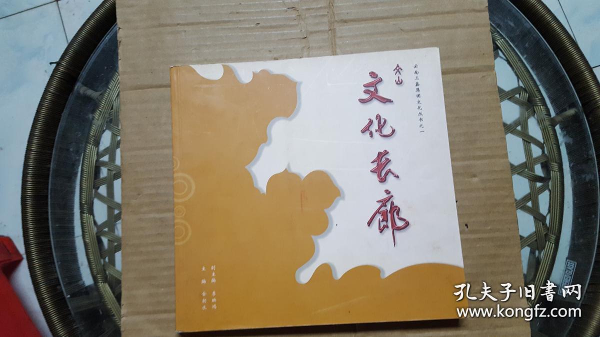 文山文化长廊【看图】_金朝水_孔夫子旧书网