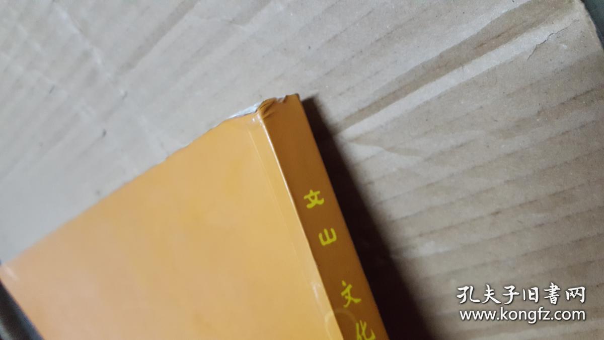 文山文化长廊【看图】_金朝水_孔夫子旧书网