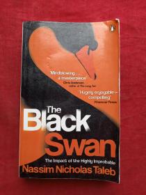The Black Swan2008年