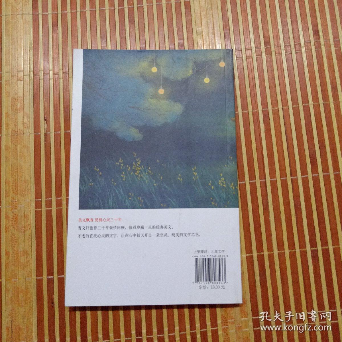 冰项链 曹文轩小说馆