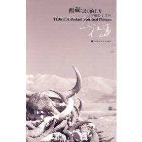 西藏，远方的上方：祝勇文化笔记