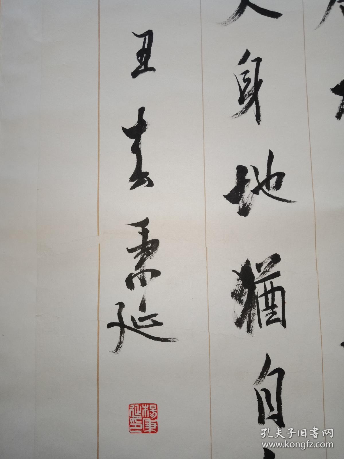 中国书法家协会理事 杨秉延书法162x48cm