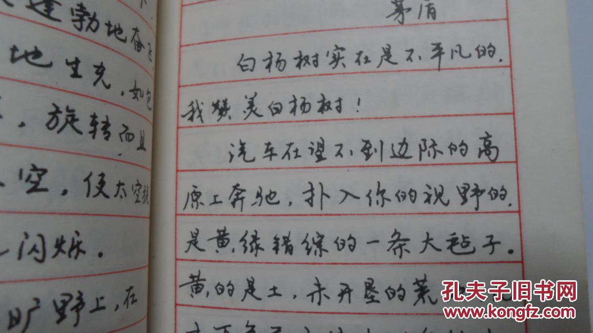 散文名篇钢笔字帖