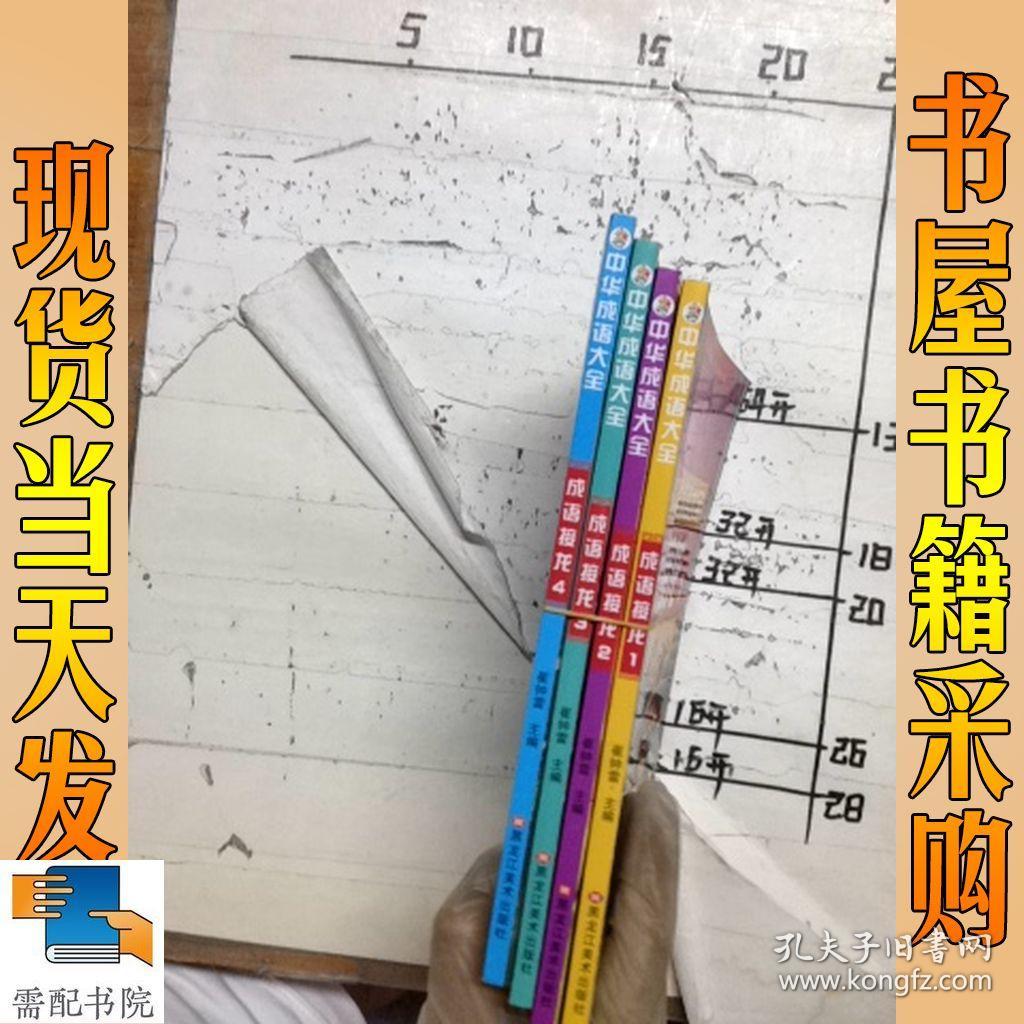 中华成语大全 成语接龙 1 2 3 4 共4本合售