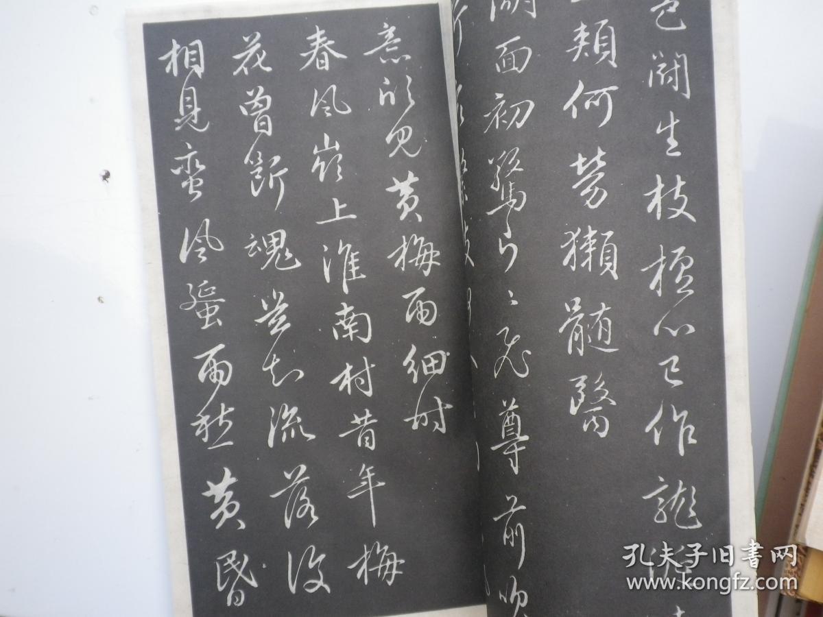 赵孟頫行书梅花诗