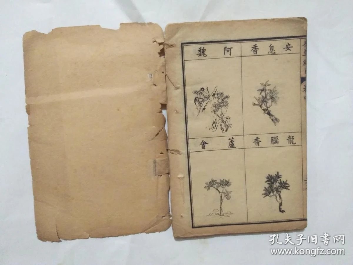 民国线装中医书《增广本草纲目》 图卷 上中下三册全