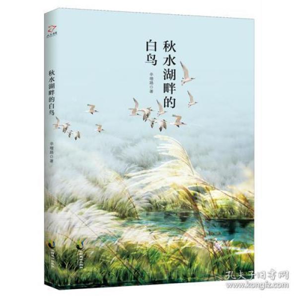 白鸟之湖简谱_儿歌简谱