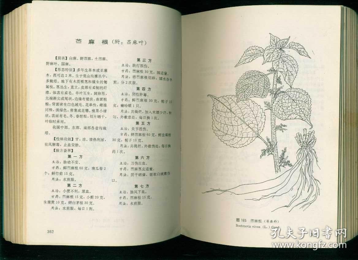 中国民间百草良方