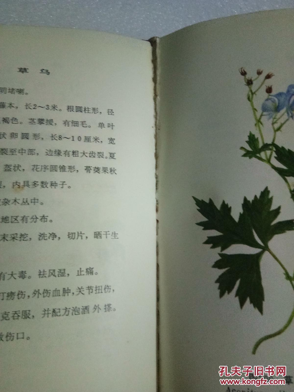 云南中草药选彩版