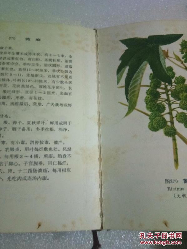 云南中草药选【彩版】