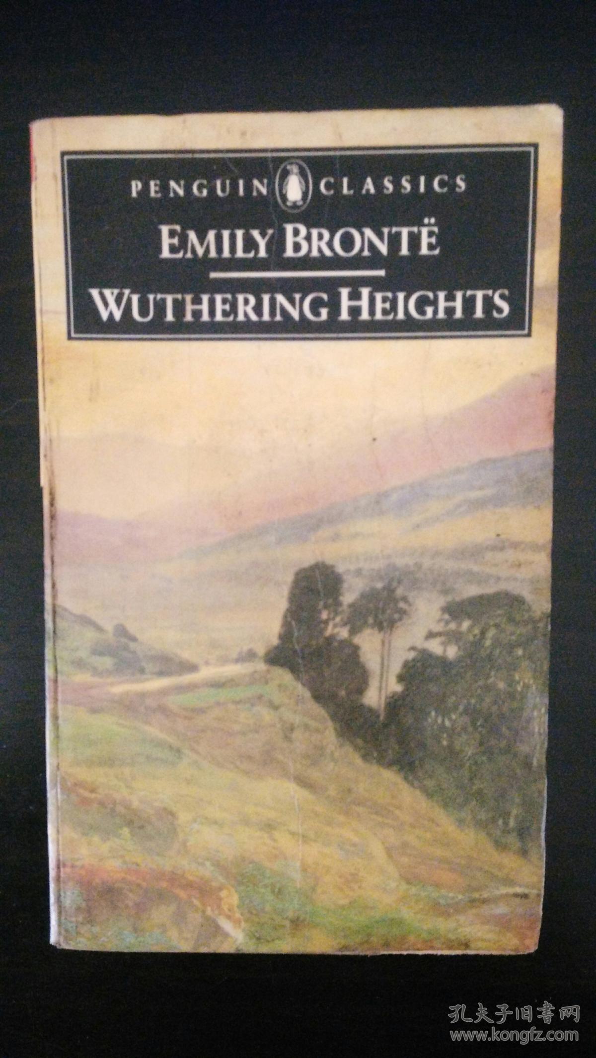 emilybronte简介,emilybronte emily bronte