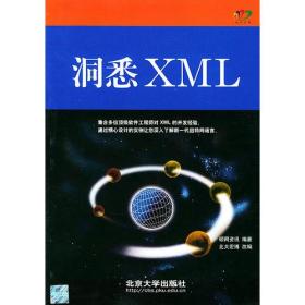 洞悉　XML