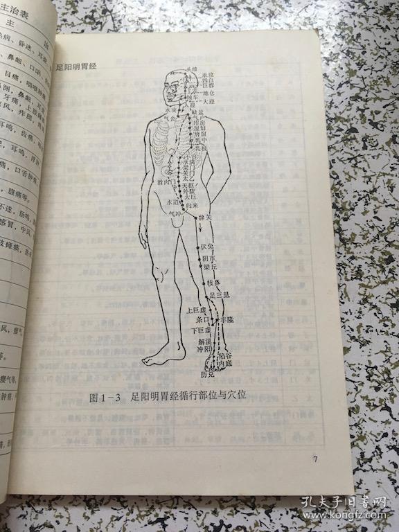 健康法资料【经络穴位全息反射区】 k131